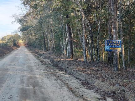 Timberland Property in Pike County, Alabama