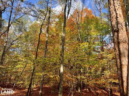 House in Greenwood County, South Carolina