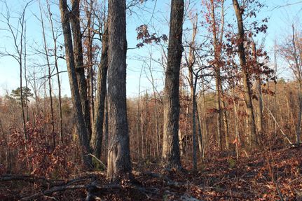 Land in Montgomery County, Kentucky