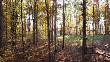 Farm and Ranch in Lawrence County, Alabama