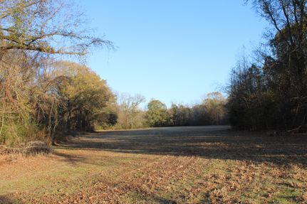 Timberland Property in Marshall County, Mississippi