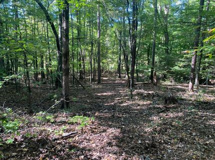 Undeveloped Land in Franklin County, Georgia