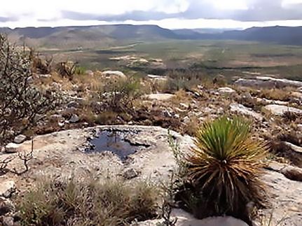 Farm and Ranch in Pecos County, Texas