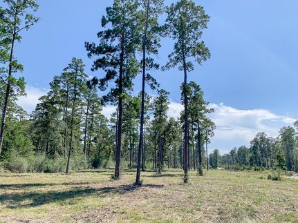 Land in Angelina County, Texas