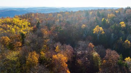 Homesite in Windham County, Vermont