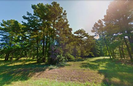 Undeveloped Land in Harrison County, Texas