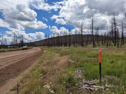 Undeveloped Land in Costilla County, Colorado
