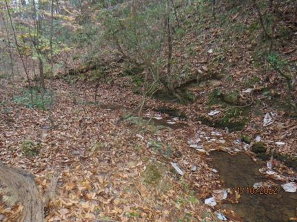 Farm and Ranch in Chilton County, Alabama