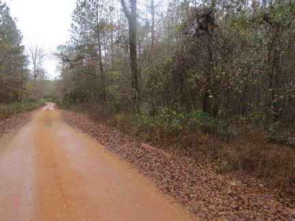 Recreational Property in Chilton County, Alabama