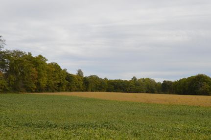 Land in Sandusky County, Ohio