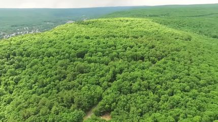 Undeveloped Land in Orange County, New York