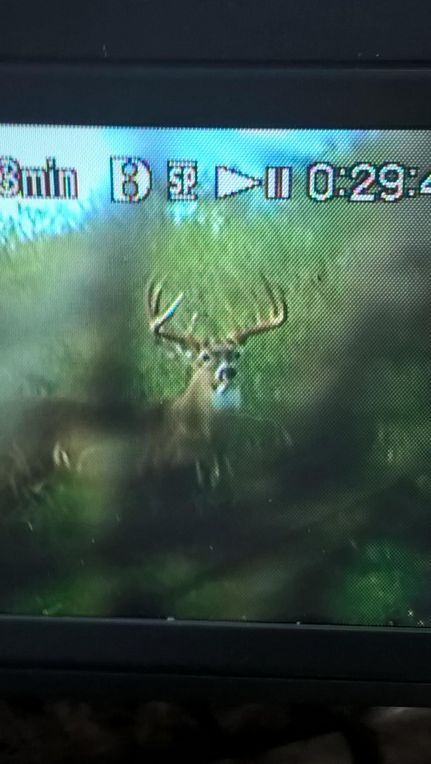 Farm and Ranch in McMullen County, Texas