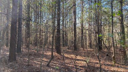 Undeveloped Land in Lawrence County, Alabama