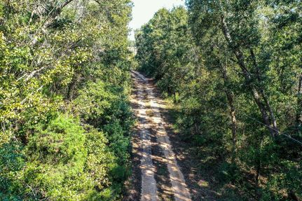 Undeveloped Land in Baldwin County, Alabama