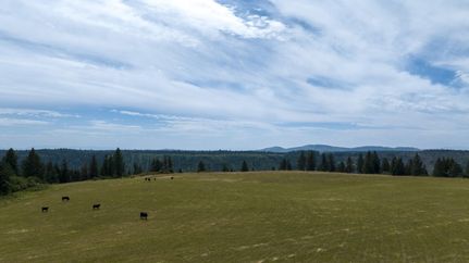 Land in Clearwater County, Idaho