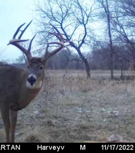 Hunting Property in Wabaunsee County, Kansas
