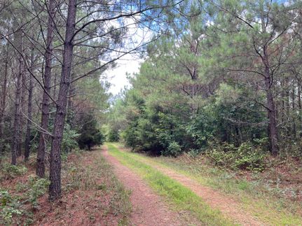 Hunting Property in Lewis County, Tennessee