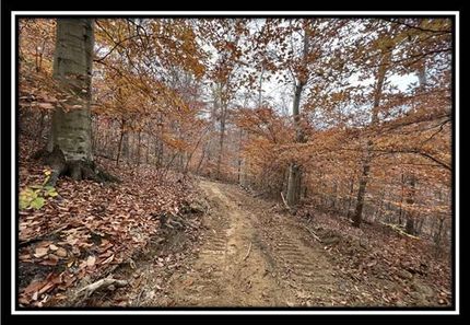 Undeveloped Land in Meigs County, Ohio