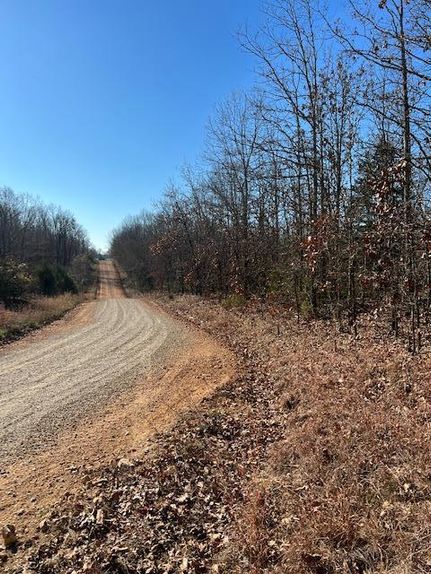 Undeveloped Land in Howell County, Missouri