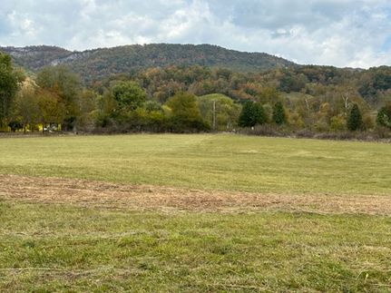 Undeveloped Land in Lee County, Virginia