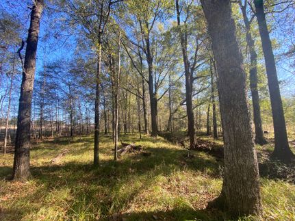 Land in Macon County, Alabama
