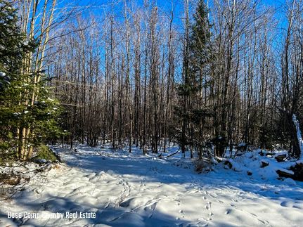Timberland Property in Langlade County, Wisconsin