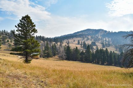 Timberland Property in Cascade County, Montana