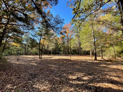 Farm and Ranch in Freestone County, Texas