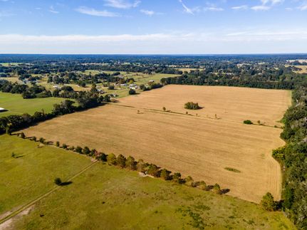 Timberland Property in Marion County, Florida