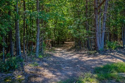 Hunting Property in Pittsylvania County, Virginia