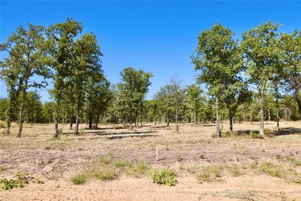 Undeveloped Land in Jack County, Texas