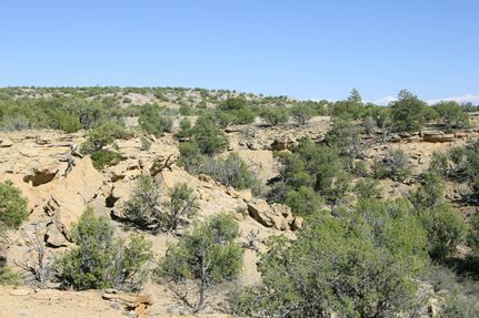 Hunting Property in Apache County, Arizona