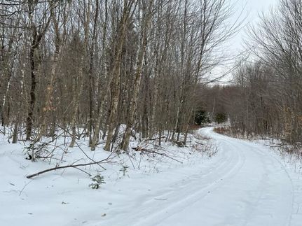 Land in Aroostook County, Maine
