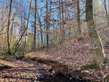 Farm and Ranch in Tallapoosa County, Alabama
