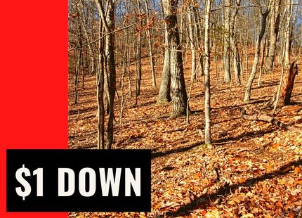 Land in Morgan County, West Virginia