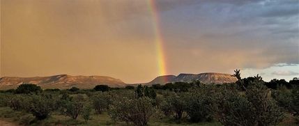 Undeveloped Land for sale in Socorro County, New Mexico