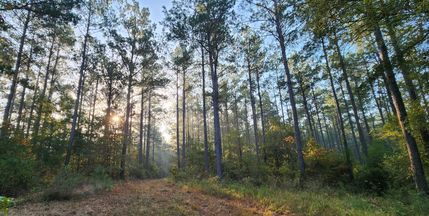 Farm and Ranch in Nacogdoches County, Texas