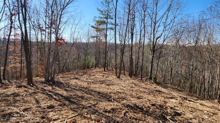 Hunting Property for sale in DeKalb County, Tennessee