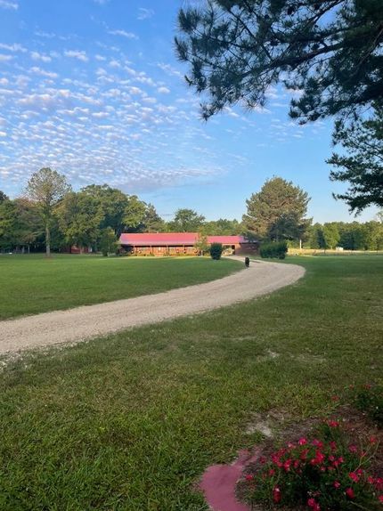 Undeveloped Land in Dallas County, Alabama