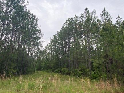 Hunting Property in Escambia County, Alabama