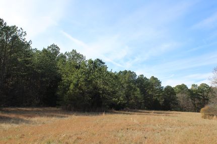 Timberland Property in Marshall County, Mississippi