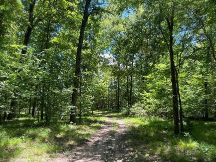 Undeveloped Land in Macon County, Alabama