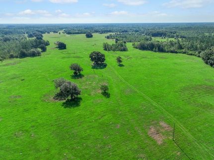 Undeveloped Land in Madison County, Florida