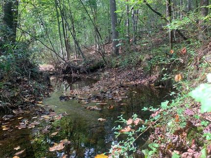Land in Carroll County, Georgia