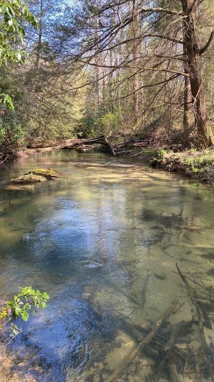 Land in Grundy County, Tennessee