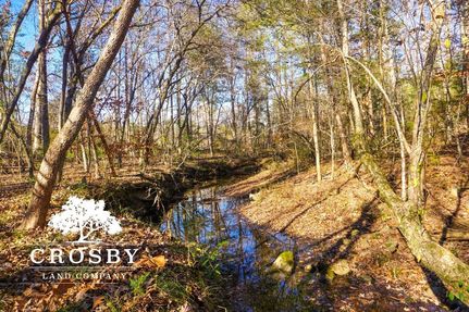 Timberland Property in Chester County, South Carolina