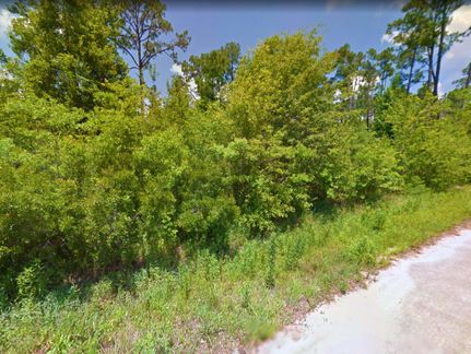 Undeveloped Land in Hancock County, Mississippi