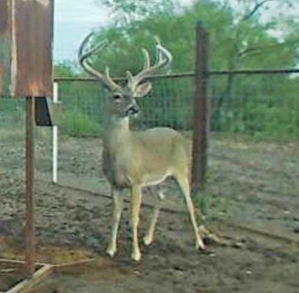 Farm and Ranch for sale in Kinney County, Texas