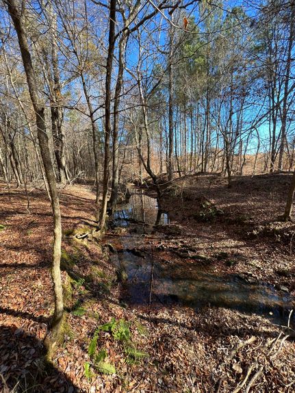 Land in Edgefield County, South Carolina