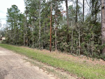 Undeveloped Land in Polk County, Texas